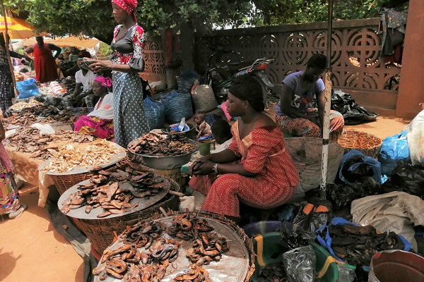 Mali 5