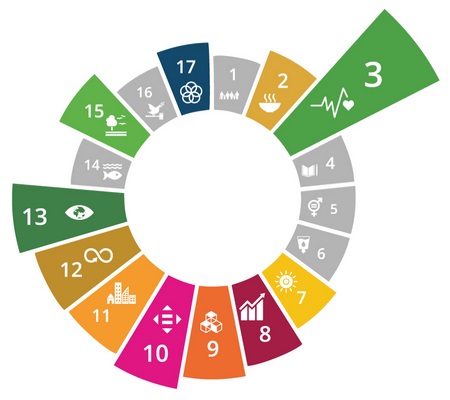 SDG social impact